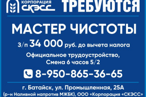 Уборщик (ца)