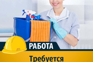 Требуется мастер чистоты