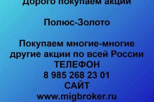 Покупка акции «Полюс Золото»