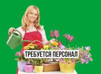 Помощник