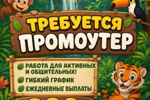 Требуется промоутер